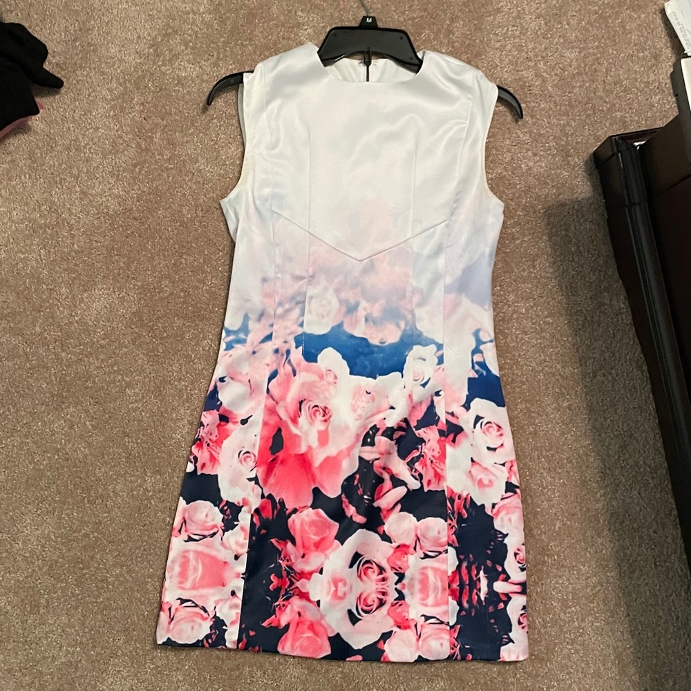 Shein Keepsake Inspired Mini Dress
